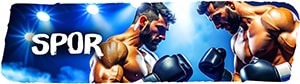 Spor
