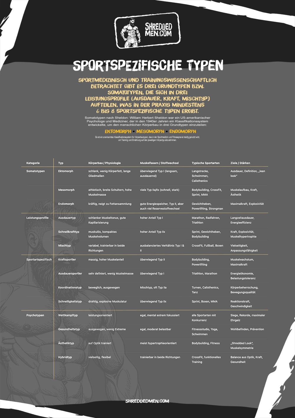3 sportspezifische Typen: Ektomorph, Mesomorph und Endomorph